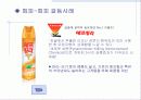 소비자 행동변화 적용 사례, 소비자 개성과 라이프 스타일, 소비자 태도와 태도변화 총체적 조사분석 14페이지
