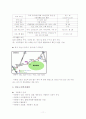 [노인복지] 노인복지의 개념과 노인복지의 배경, 노인복지 현황 11페이지