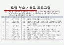 [청소년 복지 실천 프로그램] 청소년 복지 실천 프로그램의 개념과 특징, 종류 및 청소년 단체 프로그램,  수련활동 분석 보고서 8페이지