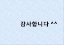 [입학사정관제도 분석] 입학사정관제도의 도입 취지 및 배경, 입학사정관제도의 현황, 입학사정관제도의 타당성 및 문제점과 전망 87페이지