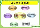 공공부조정책-기초생활보장법 3페이지