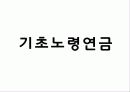 사회수당정책 13페이지