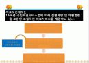 사회보험정책 26페이지