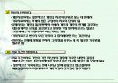 제 4 절 가족에 대한 원조 11페이지