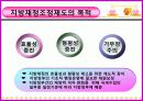 전달체계와 재원조달 29페이지
