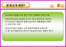 전달체계와 재원조달 31페이지