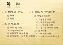 배우자선택이론 2페이지