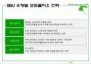 전략적 마케팅 계획 16페이지