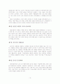 [졸업논문]인터넷마케팅의 국내외 기업 사례 연구 - 이론적 배경, 마케팅 전략 및 측정 방법, DB를 이용한 차별화 서비스 제공 21페이지