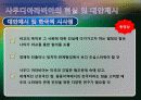 사우디 아라비아 정치 및 행정체제 11페이지