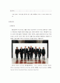 스위스의 연방에 대해... - 스위스 연방의 특징 및 한계점  7페이지