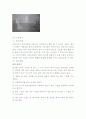 제7장 전통놀이 21페이지