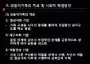 외둥이가족과 가족복지 13페이지