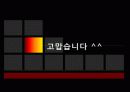 외둥이가족과 가족복지 16페이지