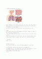 [호흡기계 병동] COPD(Chronic Obstructive Pulmonary Disease) 만성폐쇄성 폐질환 케이스스터디 4페이지