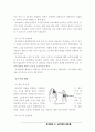제5장 근,골격계의 운동상해 14페이지