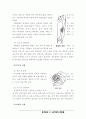 제5장 근,골격계의 운동상해 21페이지