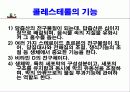고지혈증에 대한 발표자료 5페이지