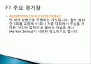 F1 레이싱 대회 비교분석 ,경영전략분석, 성공사례, 성공전략, 마케팅전략, STP전략, SWOT분석, 4P전략, 개선점 9페이지