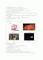 동물계의 34문 4페이지