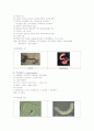 동물계의 34문 6페이지