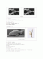 동물계의 34문 7페이지