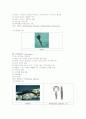 동물계의 34문 18페이지
