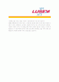 [ 루셈(lusem) - 공채 최종합격 ]자기소개서_루셈자기소개서자소서_루셈자소서자기소개서_루셈자기소개서샘플_루셈자기소개서예문_자기소개서,기업 자기소개서_자기소개서_직종 자기소개서_업종 자기소개서_기출 자 4페이지