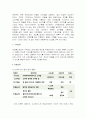 코오롱스포츠 vs 노스페이스 기업분석및 마케팅전략 비교분석 9페이지