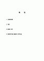 나만의 창의적인 사업계획서 구상 및 계획 분석 및 경영전략분석, 성공사례, 성공전략, 마케팅전략, STP전략, SWOT분석 2페이지