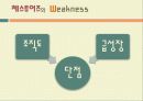 HIS코리아와 체스투어즈 비교분석 및 마케팅, 성공사례, 마케팅전략, 성공전략, 경영전략분석, 기업소개와 특징소개, 비교분석, 성공사례, 해외진출 성공전략, 마케팅전략, STP전략, SWOT분석, 4P전략, 개선점 및 나 19페이지