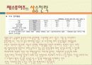 HIS코리아와 체스투어즈 비교분석 및 마케팅, 성공사례, 마케팅전략, 성공전략, 경영전략분석, 기업소개와 특징소개, 비교분석, 성공사례, 해외진출 성공전략, 마케팅전략, STP전략, SWOT분석, 4P전략, 개선점 및 나 22페이지