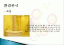 나만의 창의적인 사업계획서 애견카페 구상 및 계획 분석 및 경영전략분석, 성공사례, 성공전략, 마케팅전략, STP전략, SWOT분석 11페이지