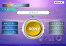 sony,글로벌경영전략,소니마케팅,마케팅,브랜드,브랜드마케팅,기업,서비스마케팅,글로벌,경영,시장,사례,swot,stp,4p 16페이지