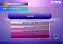 sony,글로벌경영전략,소니마케팅,마케팅,브랜드,브랜드마케팅,기업,서비스마케팅,글로벌,경영,시장,사례,swot,stp,4p 23페이지
