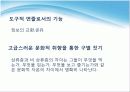 상류층,VIPVVIP마케팅전략,마케팅,브랜드,브랜드마케팅,기업,서비스마케팅,글로벌,경영,시장,사례,swot,stp,4p 14페이지