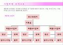 글로벌기업,조직구조,인적자원관리,마케팅,브랜드,브랜드마케팅,기업,서비스마케팅,글로벌,경영,시장,사례,swot,stp,4p 14페이지