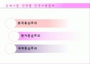 글로벌기업,조직구조,인적자원관리,마케팅,브랜드,브랜드마케팅,기업,서비스마케팅,글로벌,경영,시장,사례,swot,stp,4p 28페이지