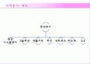 글로벌기업,조직구조,인적자원관리,마케팅,브랜드,브랜드마케팅,기업,서비스마케팅,글로벌,경영,시장,사례,swot,stp,4p 41페이지