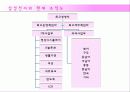 글로벌기업,조직구조,인적자원관리,마케팅,브랜드,브랜드마케팅,기업,서비스마케팅,글로벌,경영,시장,사례,swot,stp,4p 45페이지