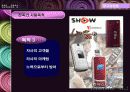 광고경영론,광고마케팅,광고전략,마케팅,브랜드,브랜드마케팅,기업,서비스마케팅,글로벌,경영,시장,사례,swot,stp,4p 13페이지