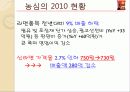 농심 辛(신)라면 기업분석 - 연혁, 사업현황, 조직도, 비전, 차별화, 매출액 비교, 재무현황등 8페이지