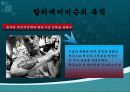 할리데이비슨,기업분석,성공사례,마케팅,브랜드,브랜드마케팅,기업,서비스마케팅,글로벌,경영,시장,사례,swot,stp,4p 5페이지