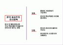 국제화 조직과 인적자원 관리 42페이지
