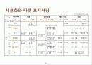 넵스 마케팅 전략 (Nefs marketing strategy) 29페이지