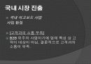 글로벌기업환경과 경영 - 라파즈(Lafarge) 13페이지