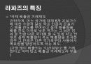 글로벌기업환경과 경영 - 라파즈(Lafarge) 26페이지