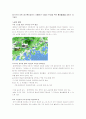2012 여수 세계박람회(여수엑스포)성공,실패,마케팅전략,환경분석,비교분석 12페이지