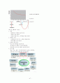 남녀 차이에 대한 연구 47페이지
