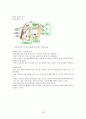 남녀 차이에 대한 연구 55페이지